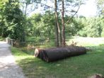 IMG_4214.jpg