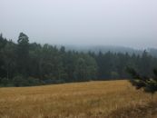 DSCF0418.jpg