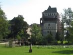 IMG_4221.jpg