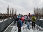 140383.jpg